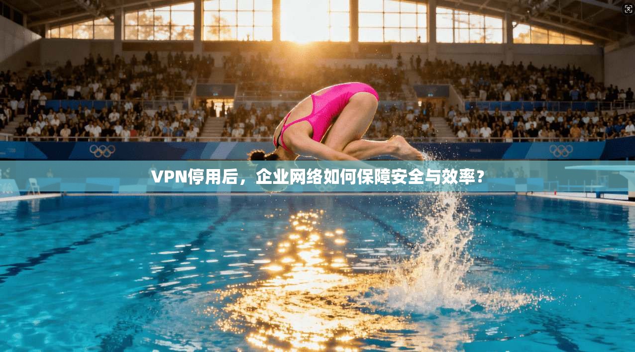 VPN停用后，企业网络如何保障安全与效率？