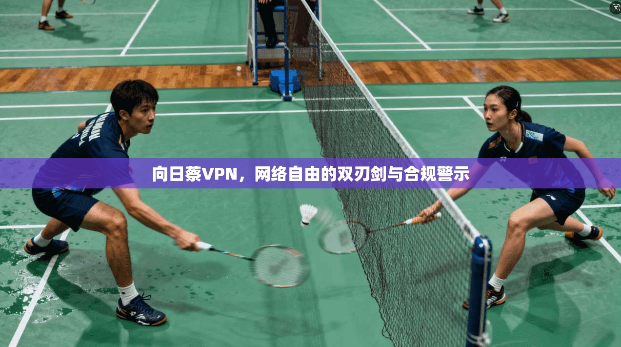向日蔡VPN，网络自由的双刃剑与合规警示