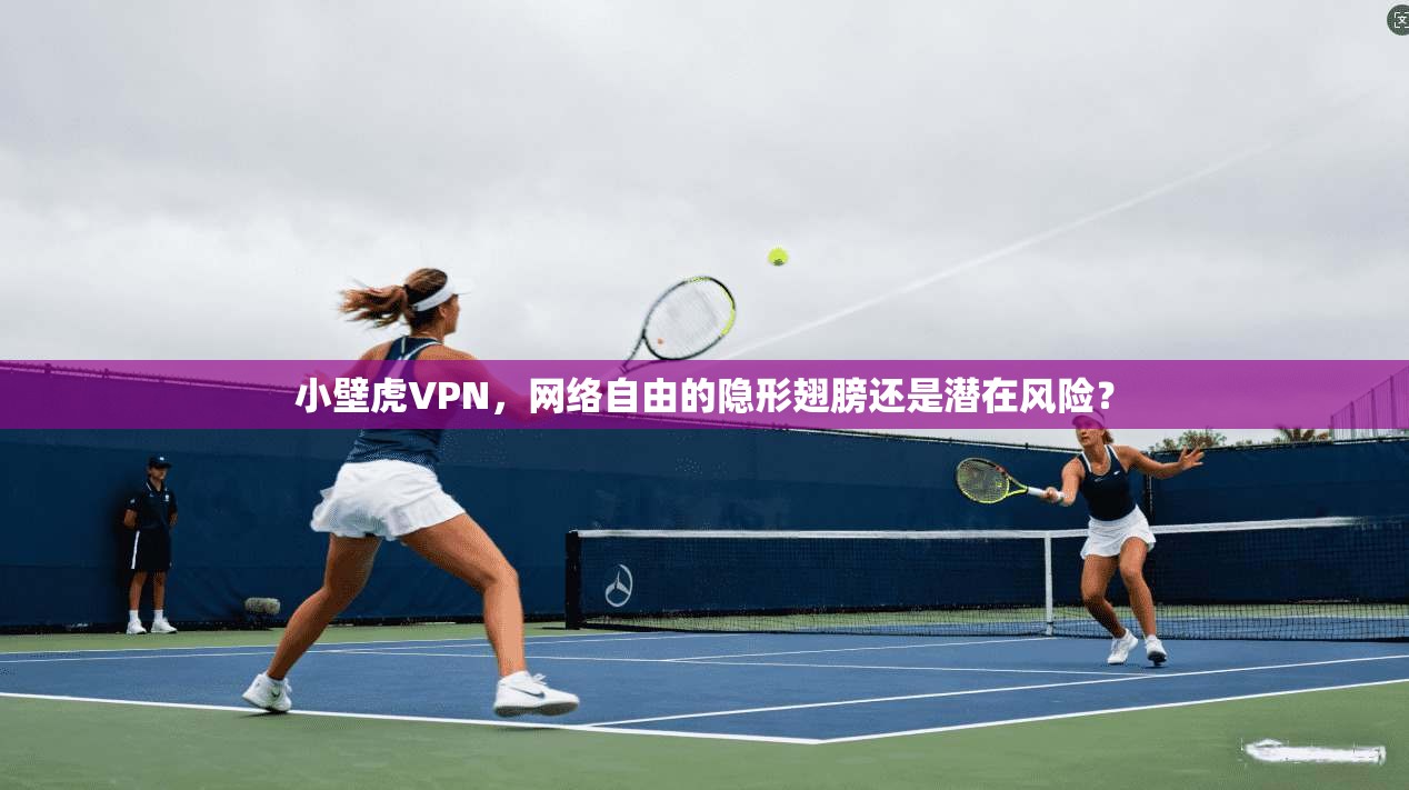 小壁虎VPN，网络自由的隐形翅膀还是潜在风险？