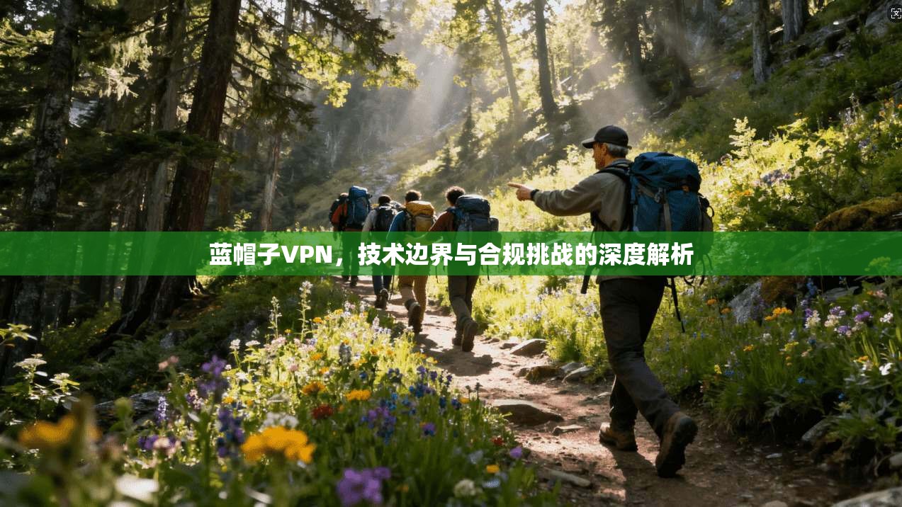 蓝帽子VPN，技术边界与合规挑战的深度解析