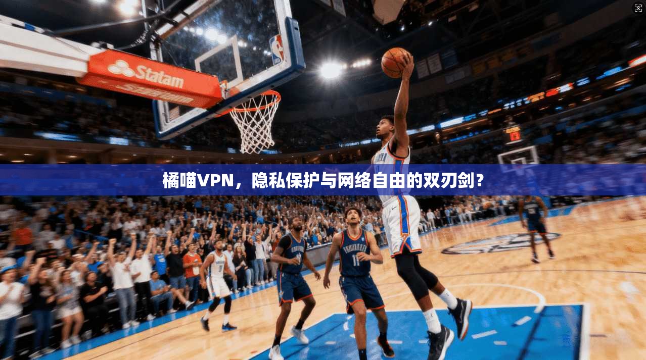 橘喵VPN，隐私保护与网络自由的双刃剑？