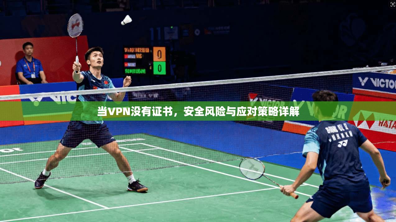 当VPN没有证书，安全风险与应对策略详解
