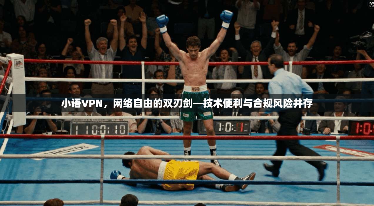 小语VPN，网络自由的双刃剑—技术便利与合规风险并存
