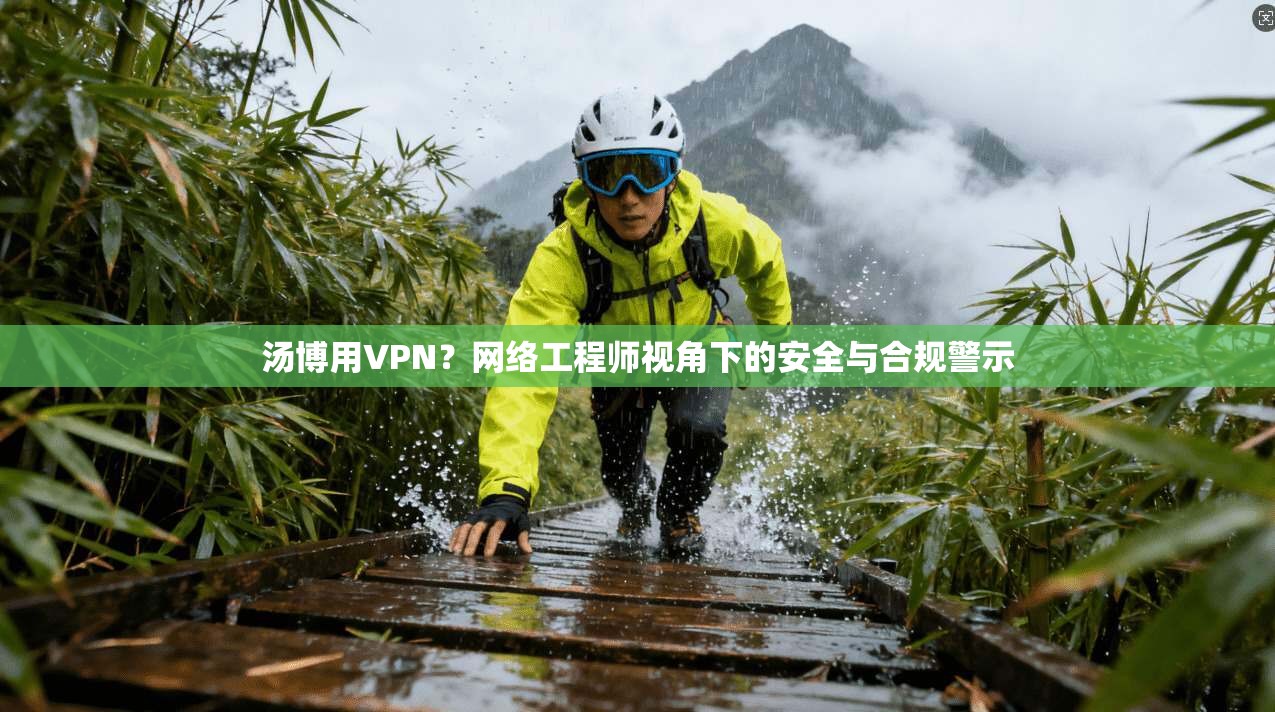 汤博用VPN？网络工程师视角下的安全与合规警示