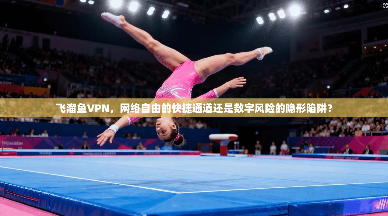 飞溜鱼VPN，网络自由的快捷通道还是数字风险的隐形陷阱？