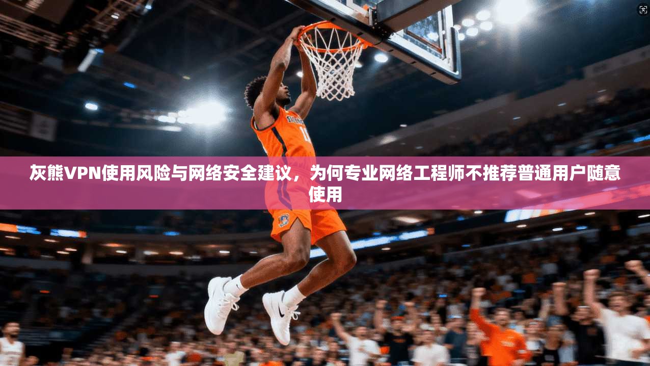 灰熊VPN使用风险与网络安全建议，为何专业网络工程师不推荐普通用户随意使用