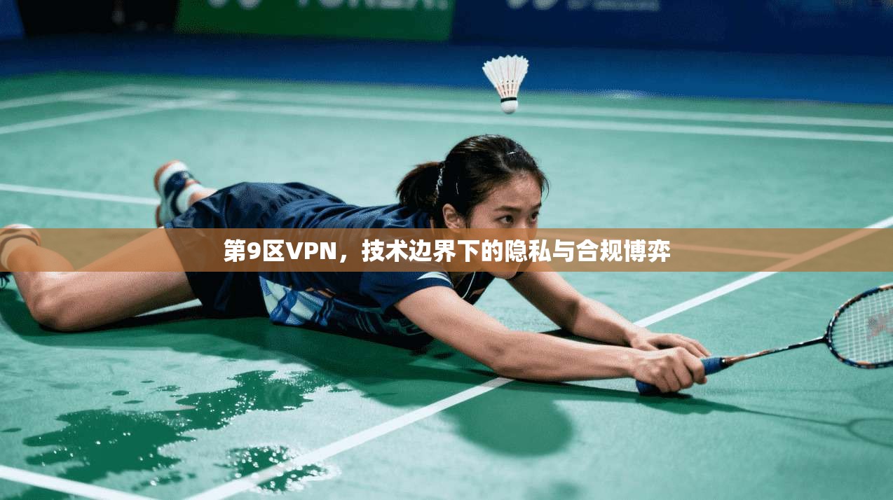 第9区VPN，技术边界下的隐私与合规博弈