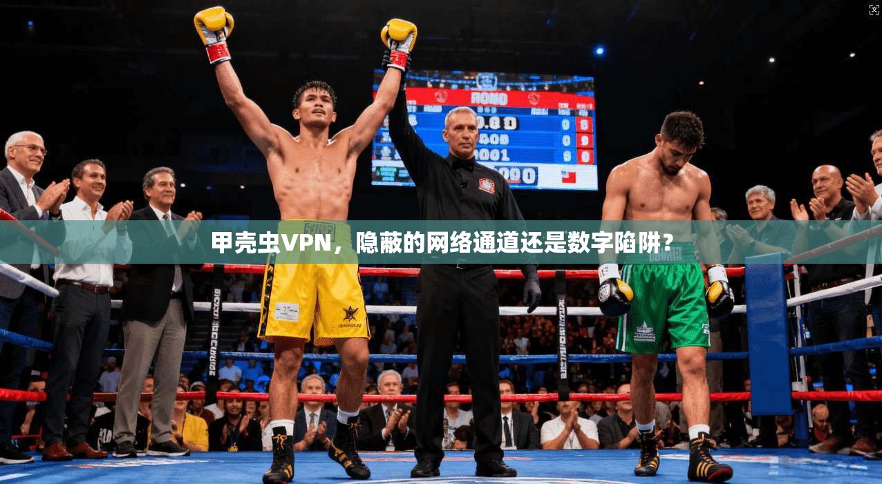 甲壳虫VPN，隐蔽的网络通道还是数字陷阱？