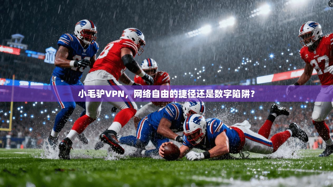 小毛驴VPN，网络自由的捷径还是数字陷阱？