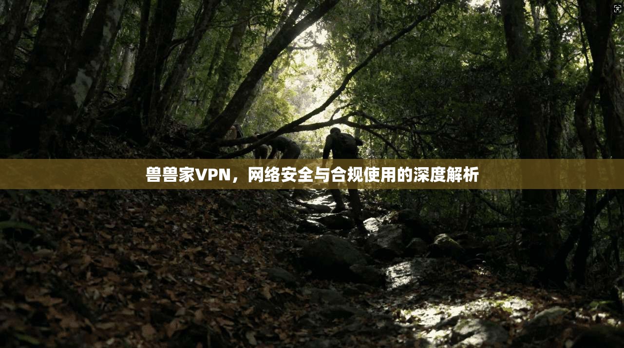 兽兽家VPN，网络安全与合规使用的深度解析