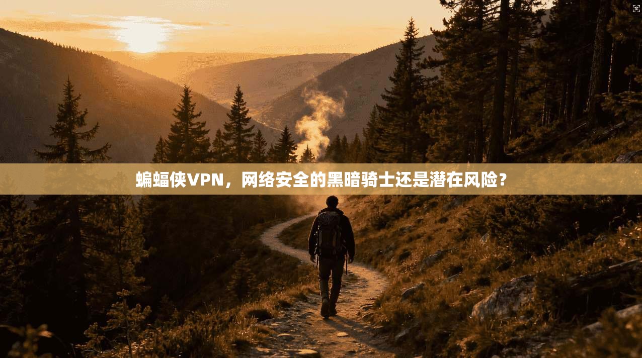 蝙蝠侠VPN，网络安全的黑暗骑士还是潜在风险？