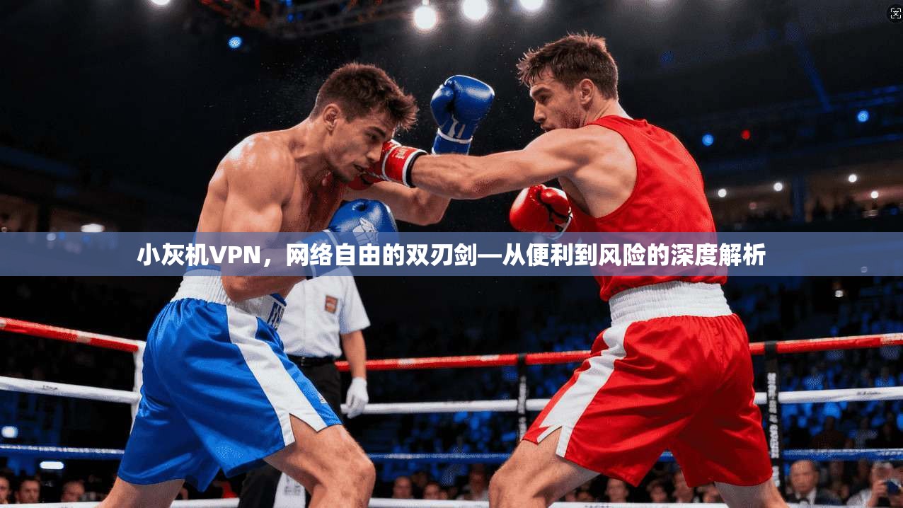 小灰机VPN，网络自由的双刃剑—从便利到风险的深度解析