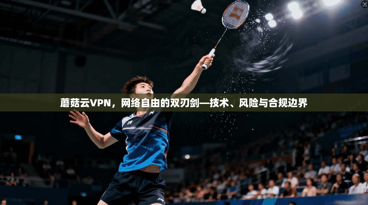 蘑菇云VPN，网络自由的双刃剑—技术、风险与合规边界