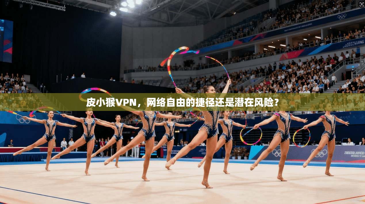 皮小猴VPN，网络自由的捷径还是潜在风险？
