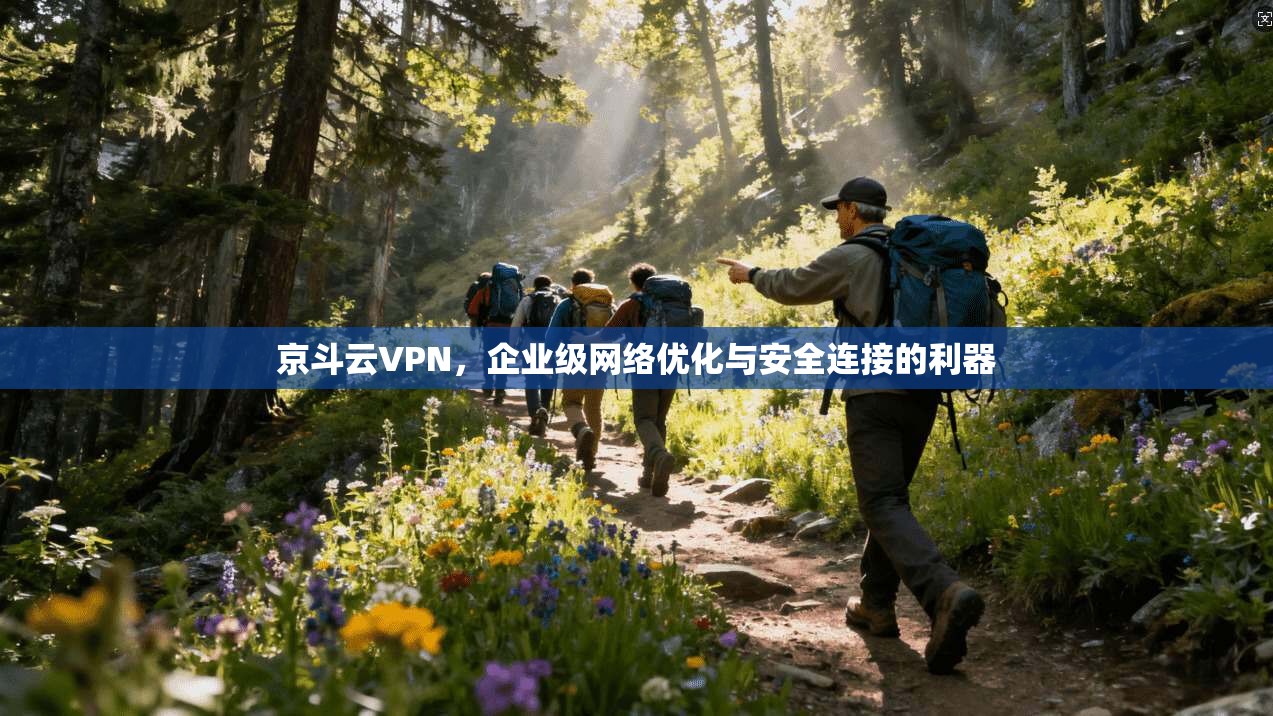 京斗云VPN，企业级网络优化与安全连接的利器