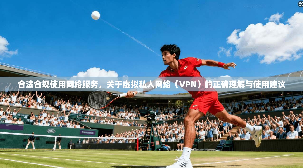 合法合规使用网络服务，关于虚拟私人网络（VPN）的正确理解与使用建议