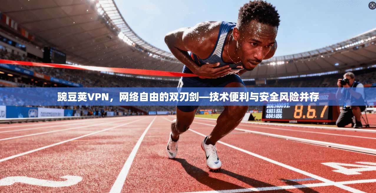 豌豆荚VPN，网络自由的双刃剑—技术便利与安全风险并存