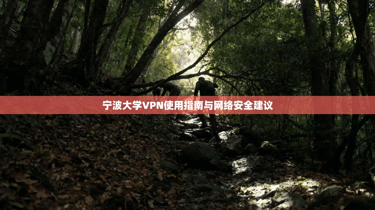 宁波大学VPN使用指南与网络安全建议