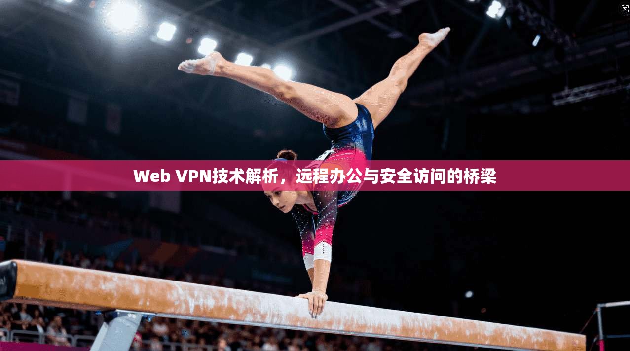 Web VPN技术解析，远程办公与安全访问的桥梁