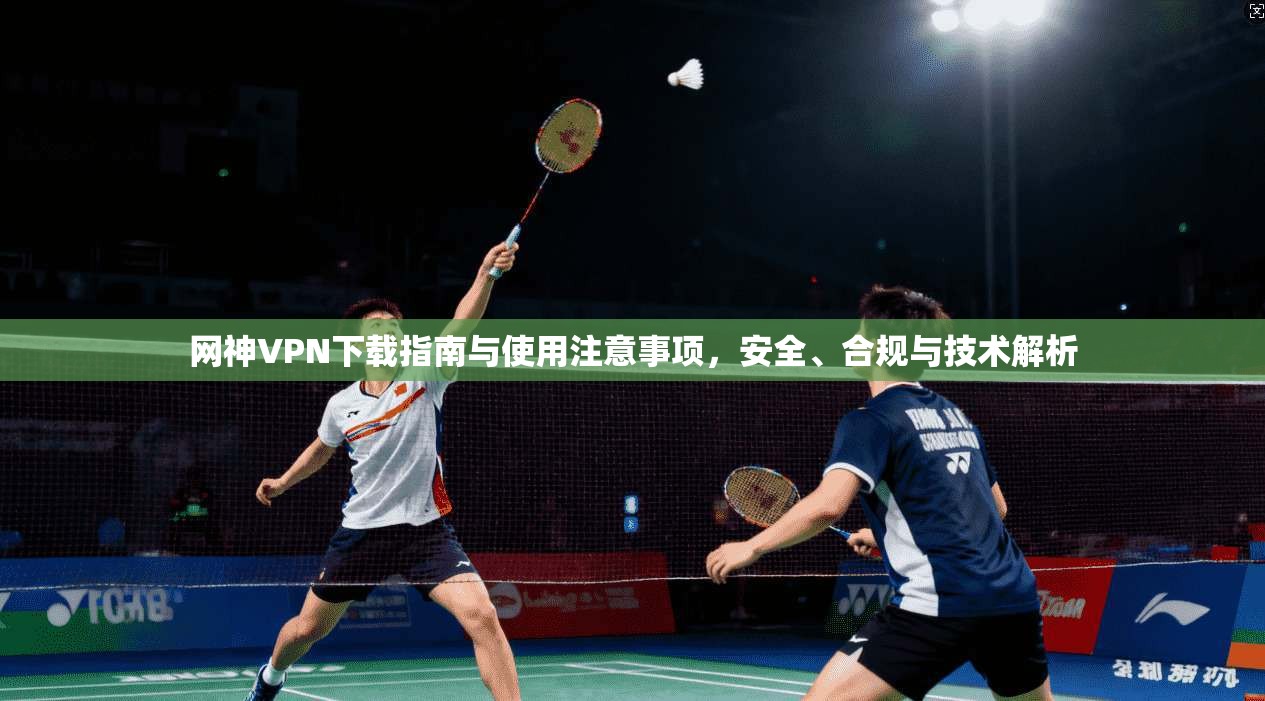 网神VPN下载指南与使用注意事项,安全、合规与技术解析