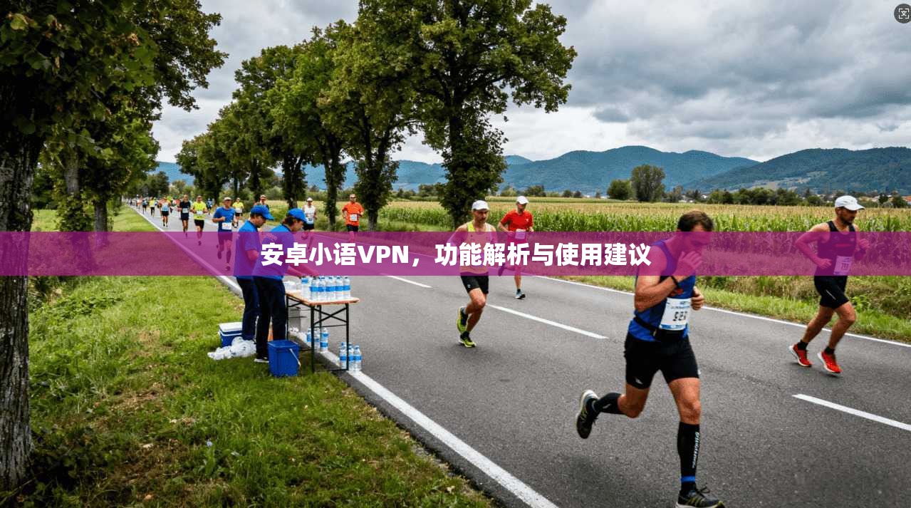 安卓小语VPN,功能解析与使用建议