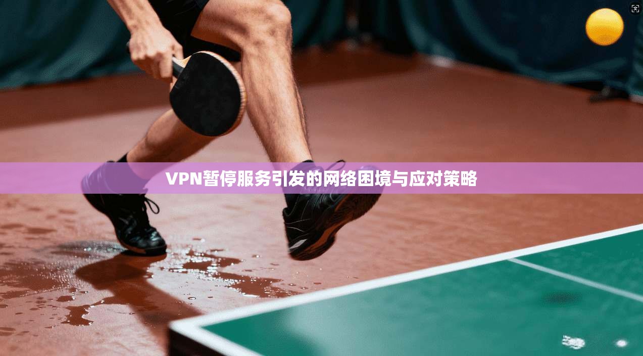 VPN暂停服务引发的网络困境与应对策略