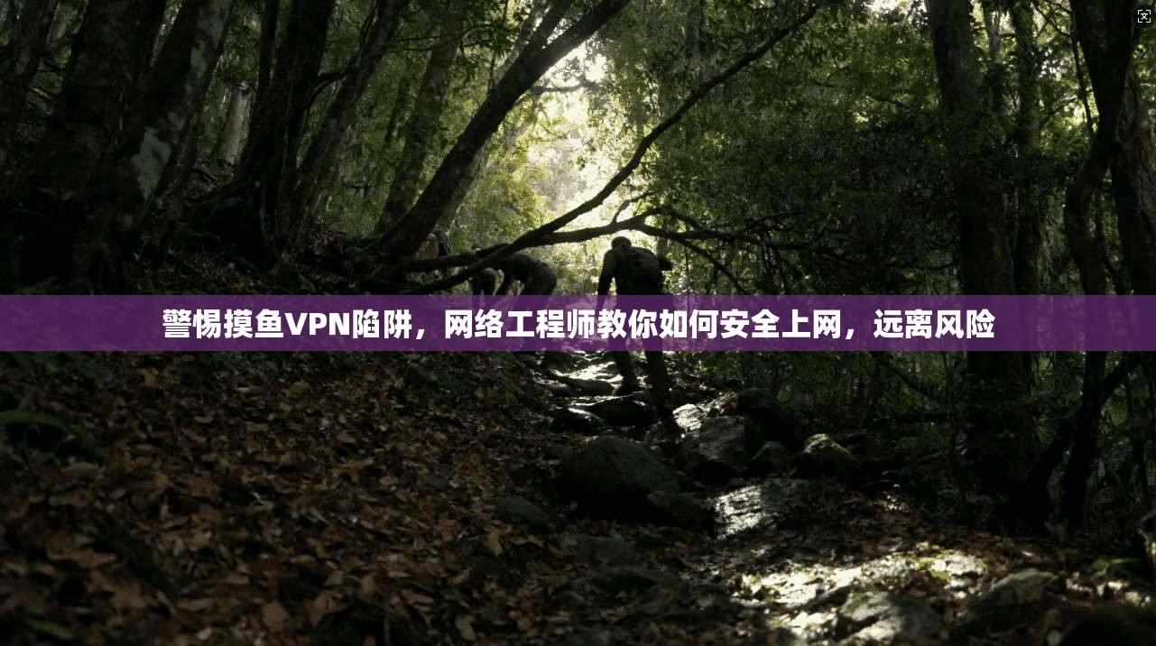 警惕摸鱼VPN陷阱,网络工程师教你如何安全上网,远离风险