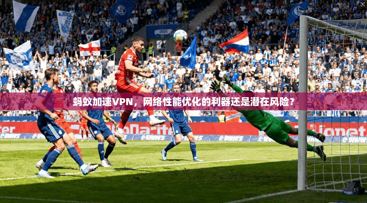 蚂蚁加速VPN，网络性能优化的利器还是潜在风险？
