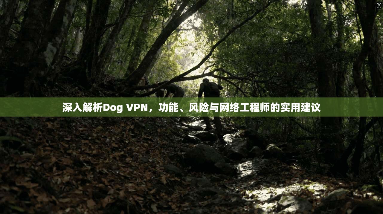 深入解析Dog VPN，功能、风险与网络工程师的实用建议