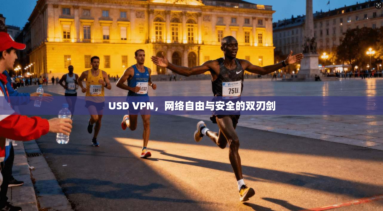 USD VPN，网络自由与安全的双刃剑