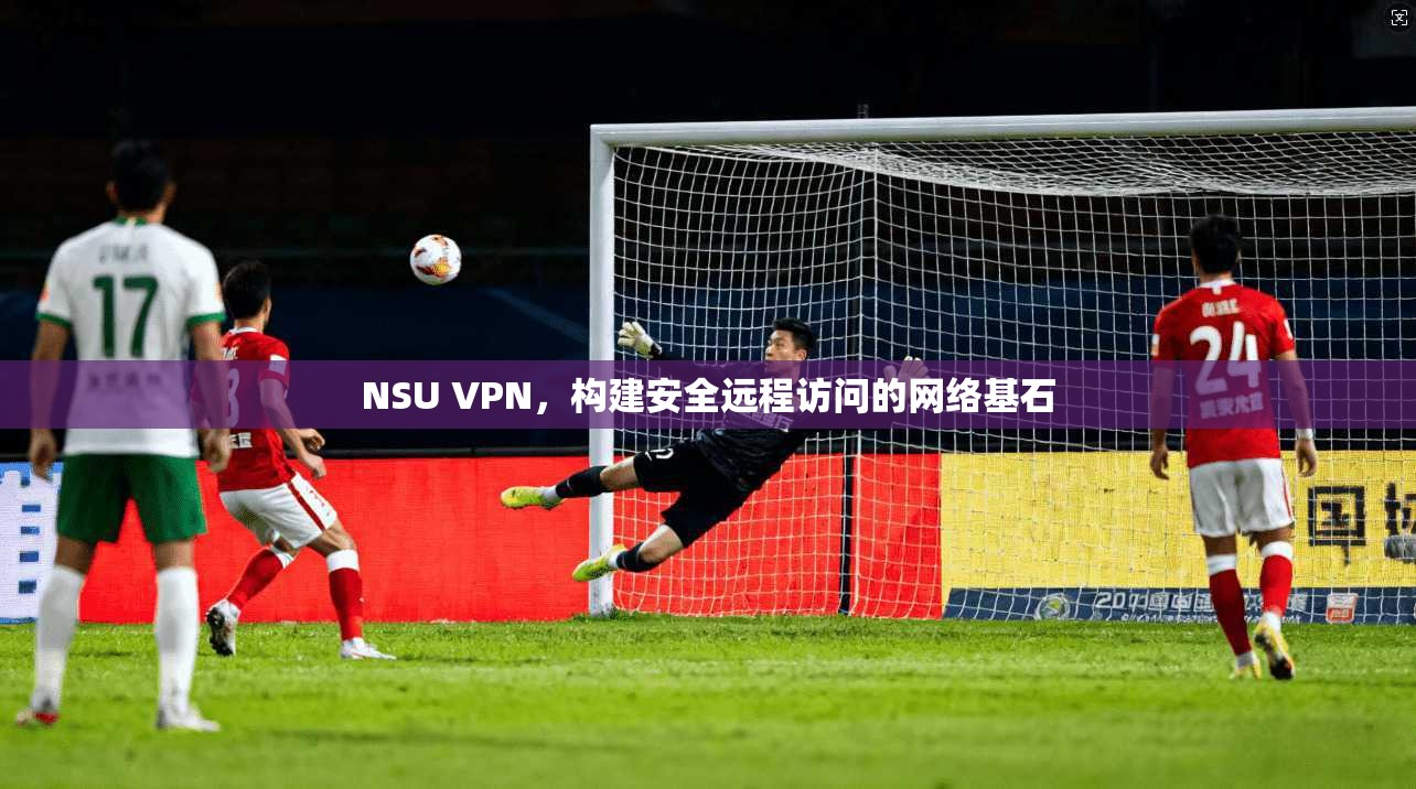 NSU VPN，构建安全远程访问的网络基石