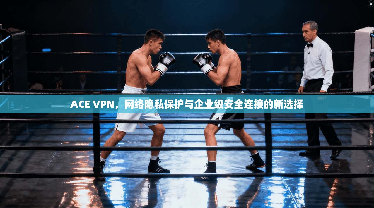 ACE VPN，网络隐私保护与企业级安全连接的新选择