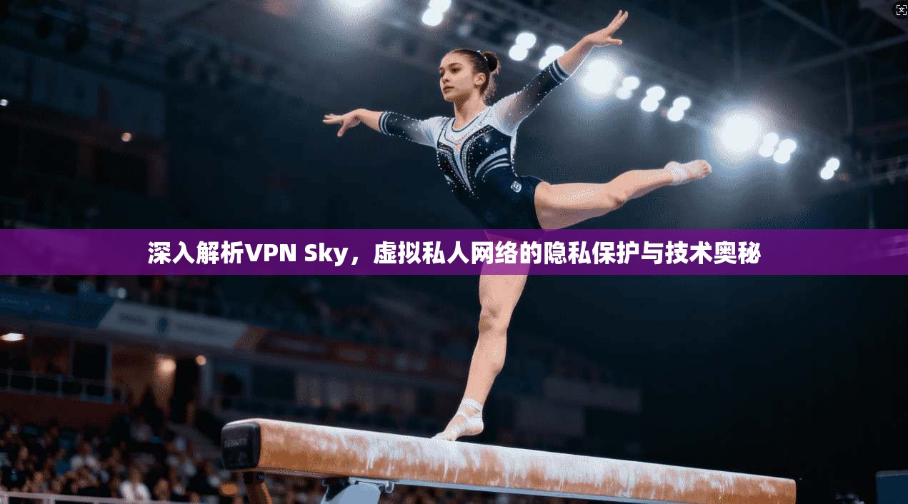深入解析VPN Sky，虚拟私人网络的隐私保护与技术奥秘