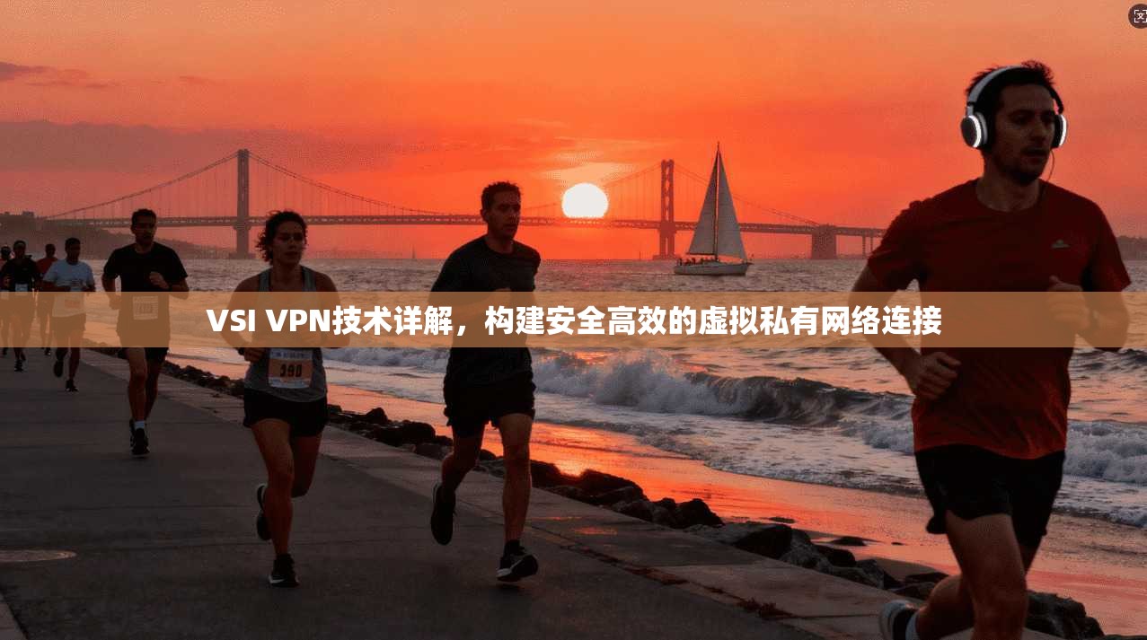 VSI VPN技术详解，构建安全高效的虚拟私有网络连接