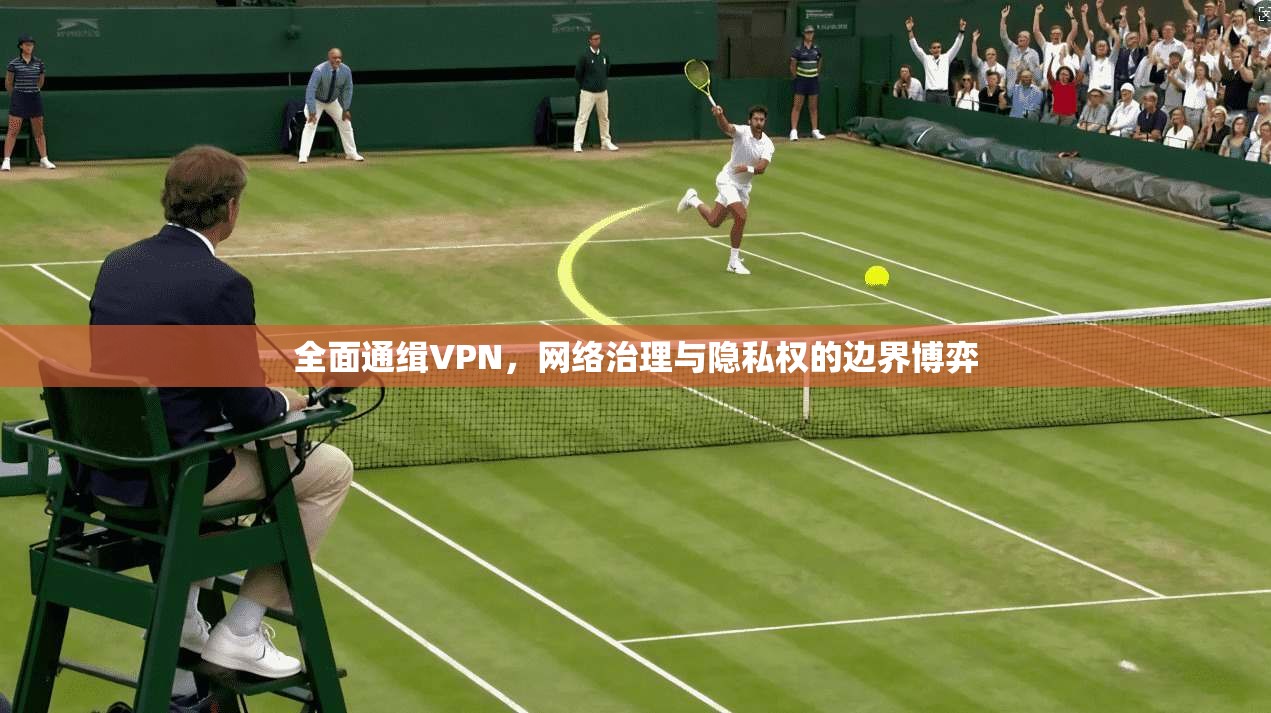 全面通缉VPN，网络治理与隐私权的边界博弈