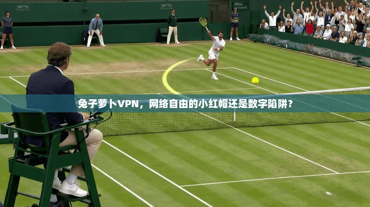 兔子萝卜VPN，网络自由的小红帽还是数字陷阱？