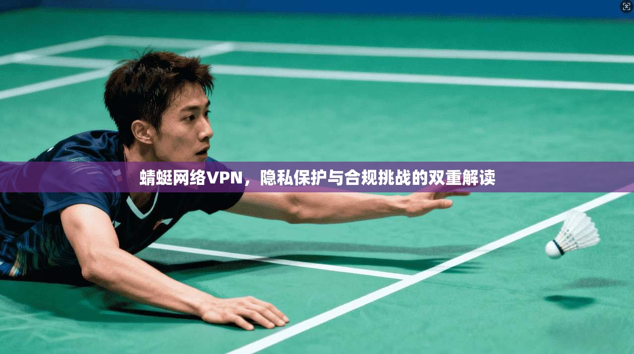 蜻蜓网络VPN，隐私保护与合规挑战的双重解读