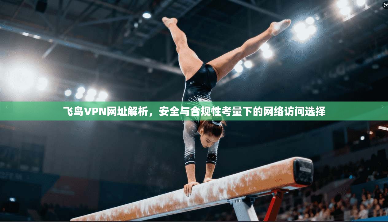 飞鸟VPN网址解析，安全与合规性考量下的网络访问选择