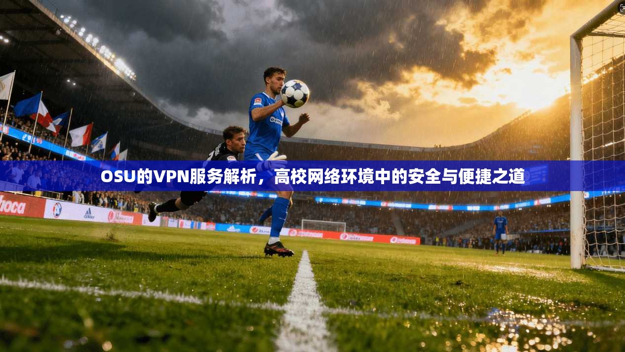 OSU的VPN服务解析，高校网络环境中的安全与便捷之道