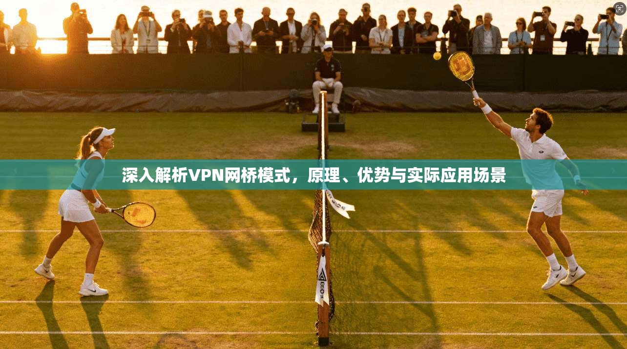 深入解析VPN网桥模式,原理、优势与实际应用场景