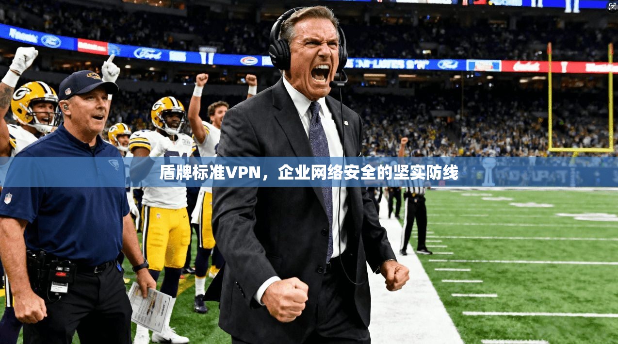 盾牌标准VPN，企业网络安全的坚实防线
