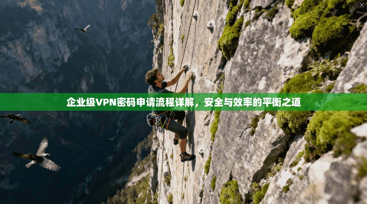 企业级VPN密码申请流程详解,安全与效率的平衡之道