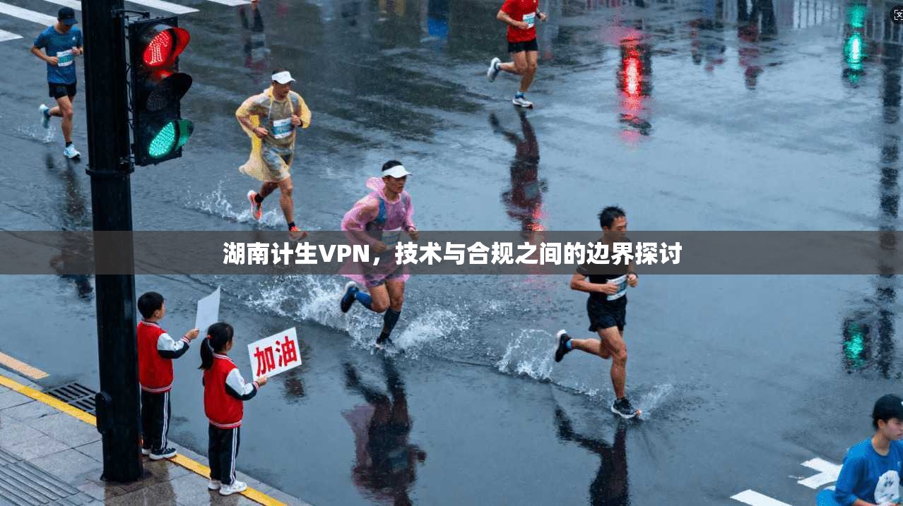 湖南计生VPN，技术与合规之间的边界探讨