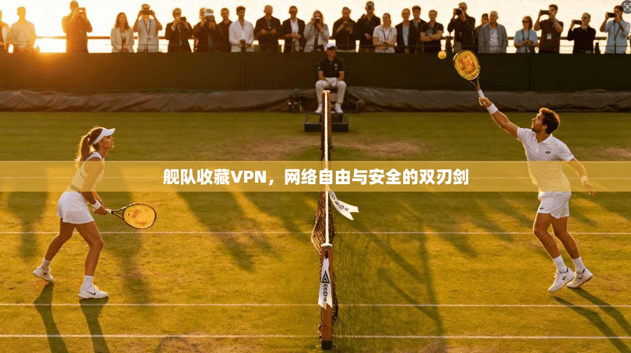舰队收藏VPN,网络自由与安全的双刃剑