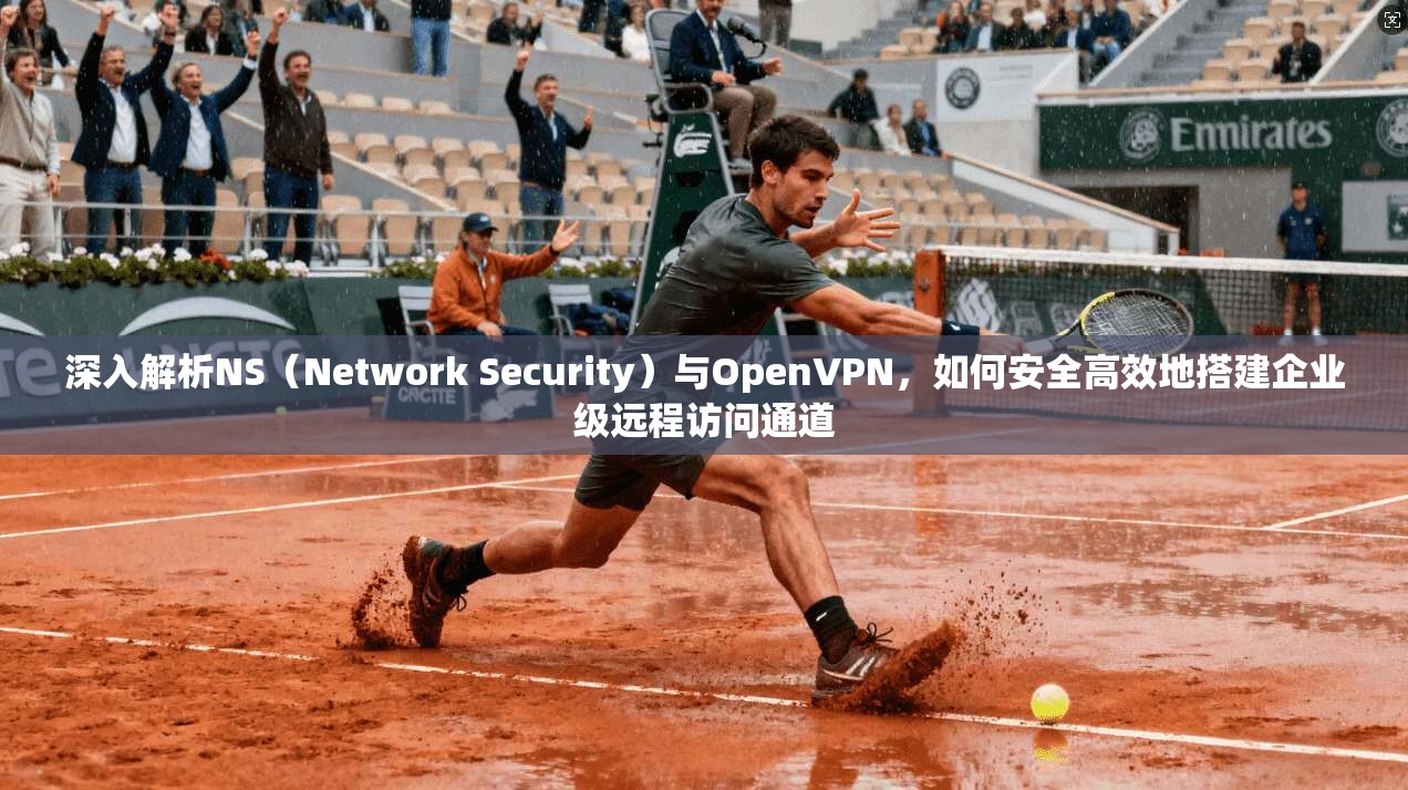 深入解析NS（Network Security）与OpenVPN，如何安全高效地搭建企业级远程访问通道