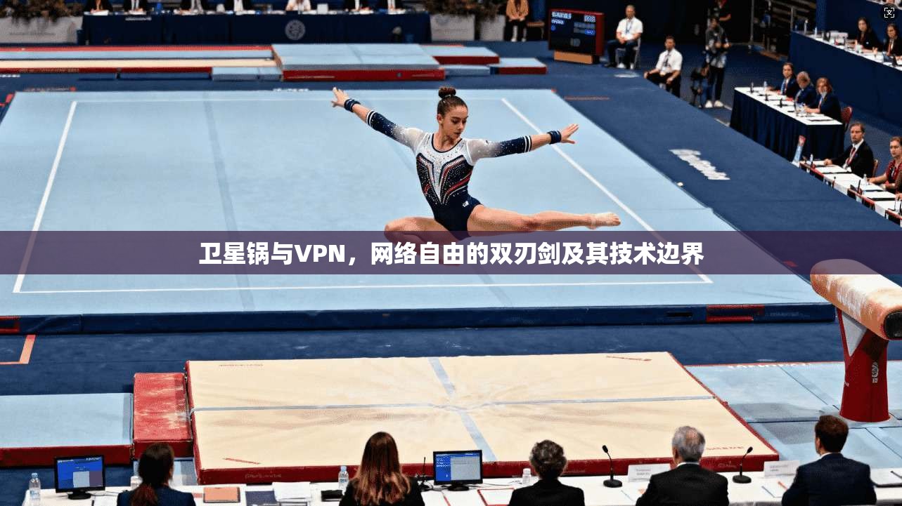 卫星锅与VPN,网络自由的双刃剑及其技术边界