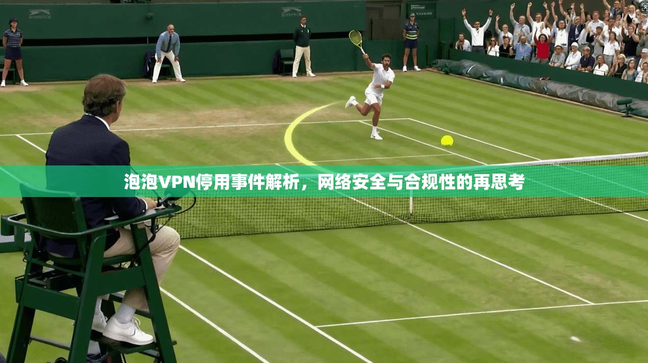 泡泡VPN停用事件解析，网络安全与合规性的再思考