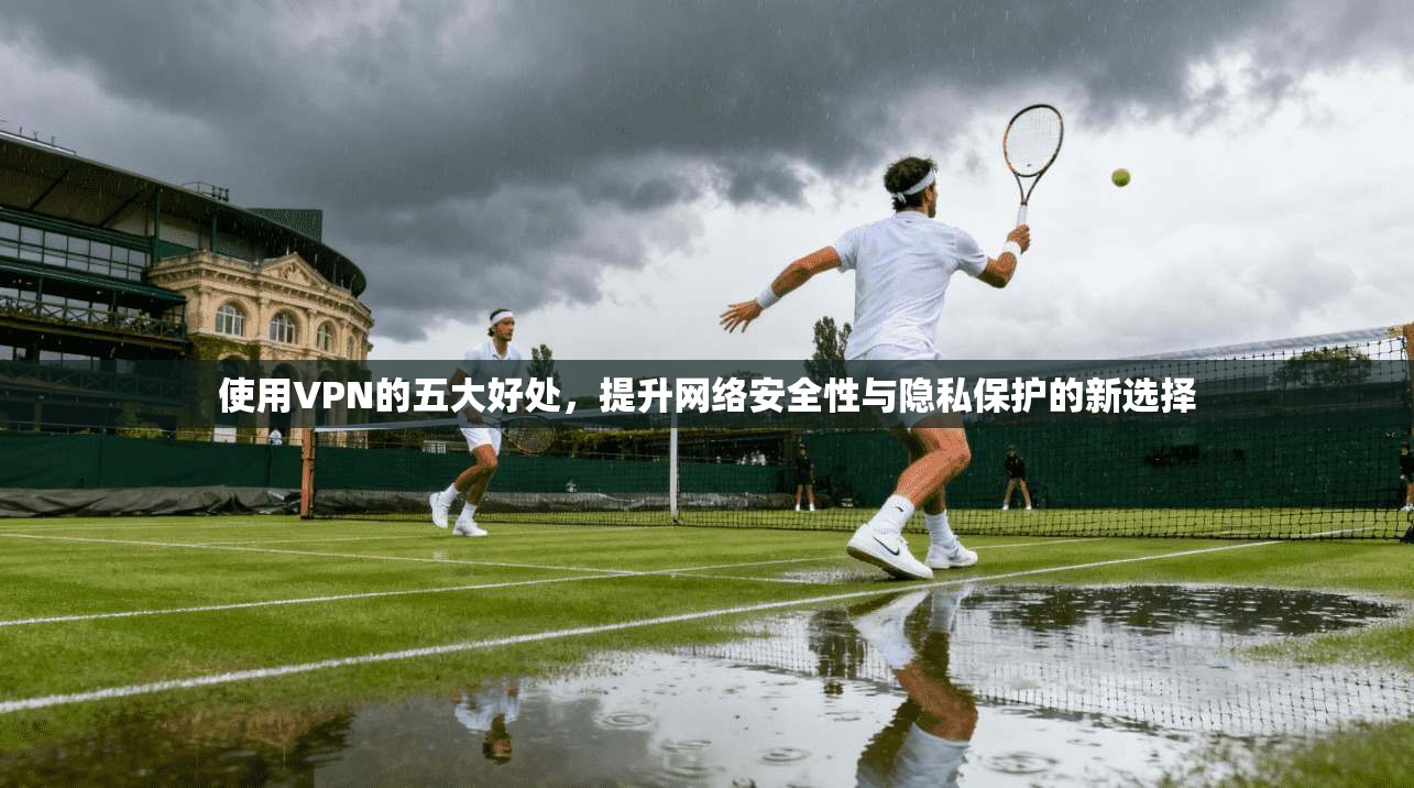 使用VPN的五大好处，提升网络安全性与隐私保护的新选择