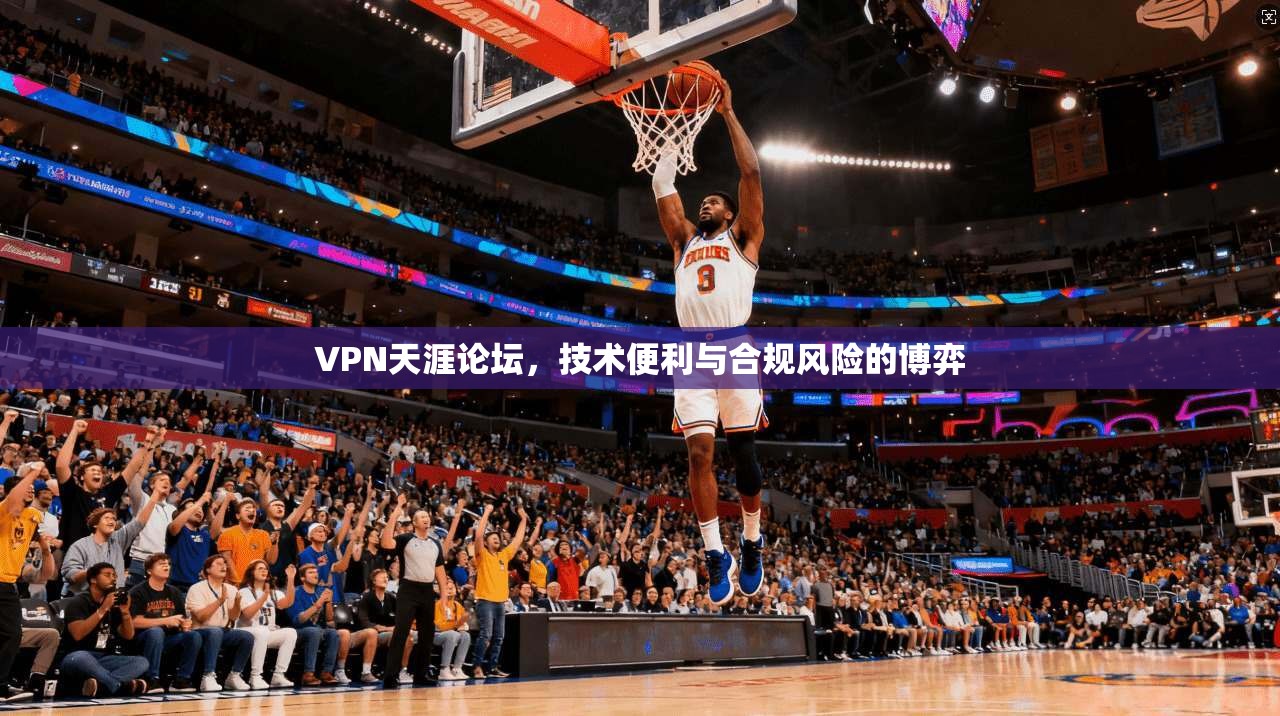 VPN天涯论坛,技术便利与合规风险的博弈