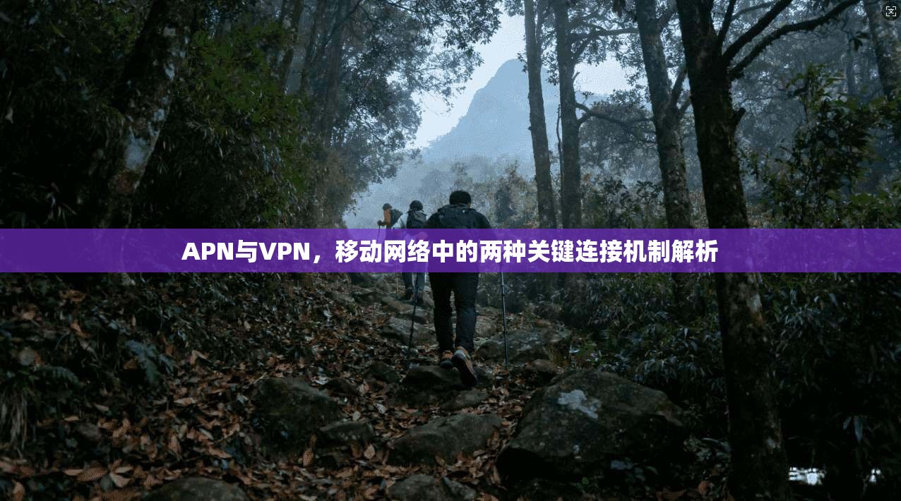 APN与VPN，移动网络中的两种关键连接机制解析